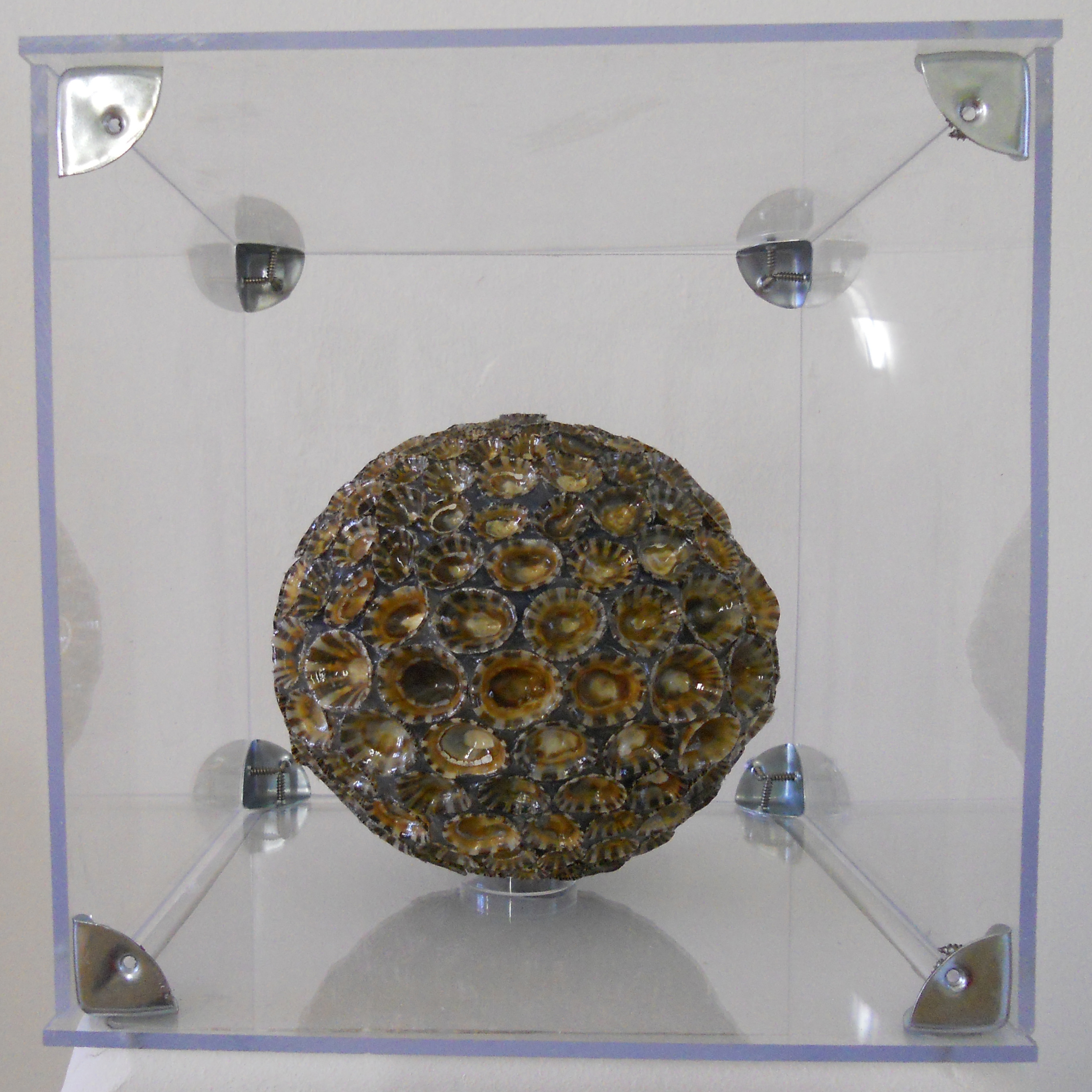 MW 06 (Hohe Aufl&ouml;sung)